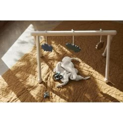 Liewood Ernie Play Gym W. Accessories -Baby Bonus 1024x1024 28f93c7aae1d1d1043e3c6ed773ca220