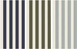 Sui Muslin Wash Cloths