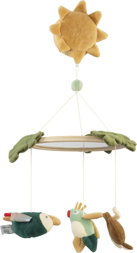 Sebra Musik- & Spejluro, Safari 3 Sebra Musik- & Spejluro, Safari