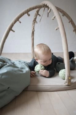 Filibabba Motorikbold - Isa Grab Ball - Pistachio -Baby Bonus 5712804014828 4