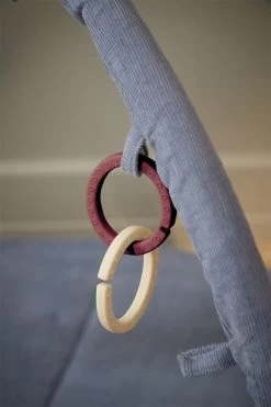 Filibabba Silikone Ophængsringe - Rose -Baby Bonus 5712804021888 3