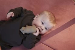 Filibabba Bidedyr I Naturgummi - Bjørnen Bertram -Baby Bonus 5712804022144 5