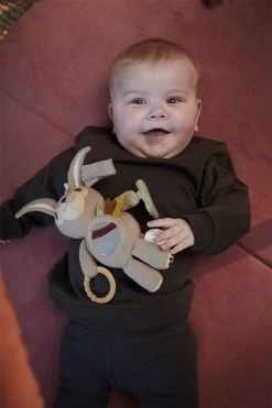 Filibabba Aktivitetslegetøj - Haren Henny 12 Filibabba Aktivitetslegetøj - Haren Henny -Baby Bonus 5712804022342 4