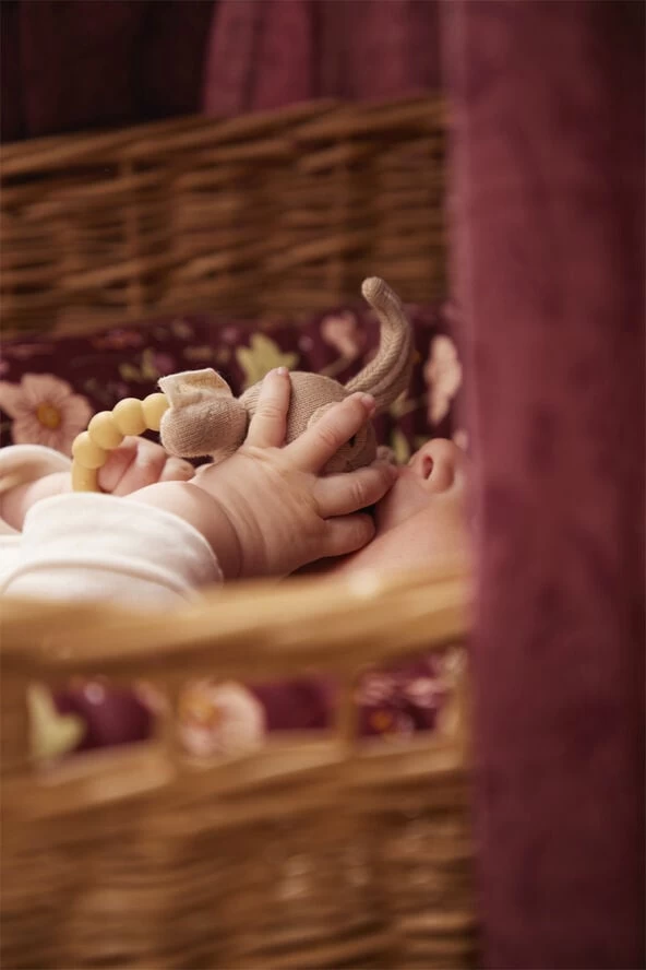 Filibabba Rangle Med Silikone Bidering - Haren Henny 4 Filibabba Rangle Med Silikone Bidering - Haren Henny - Billede 2