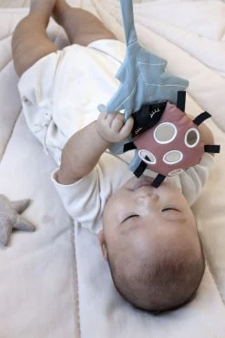 Cam Cam Copenhagen Activity Toy - OCS Ladybug, Dusty Green -Baby Bonus 5712805094492 10