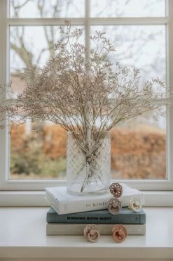 BIBS Boheme 2 PACK Latex Size 2 Ivory/Sage -Baby Bonus BIBS AW21 Boheme Product 27