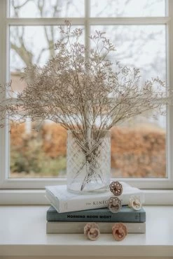 BIBS Boheme 2 PACK Latex Size 1 Ivory/Sage -Baby Bonus BIBS AW21 Boheme Product 27 7